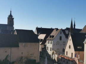 Logement Colmar centre avec Parking